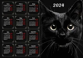 2024 photo calendar 19