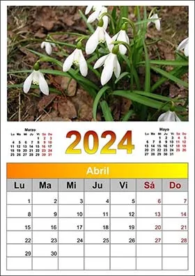 2024 photo calendar 4