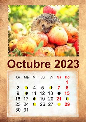 2023 photo calendar 10