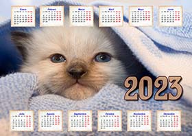 2023 photo calendar 11
