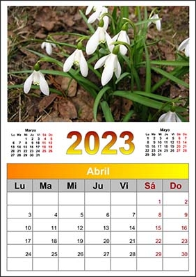 2023 photo calendar 4